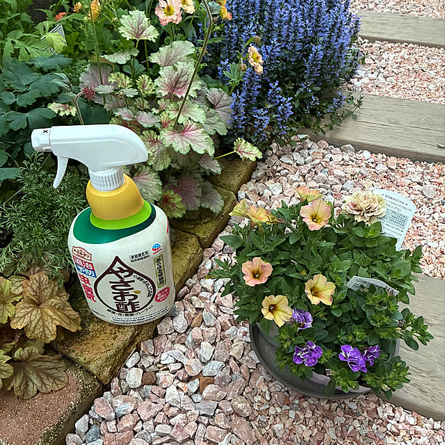 komeさんの実例写真