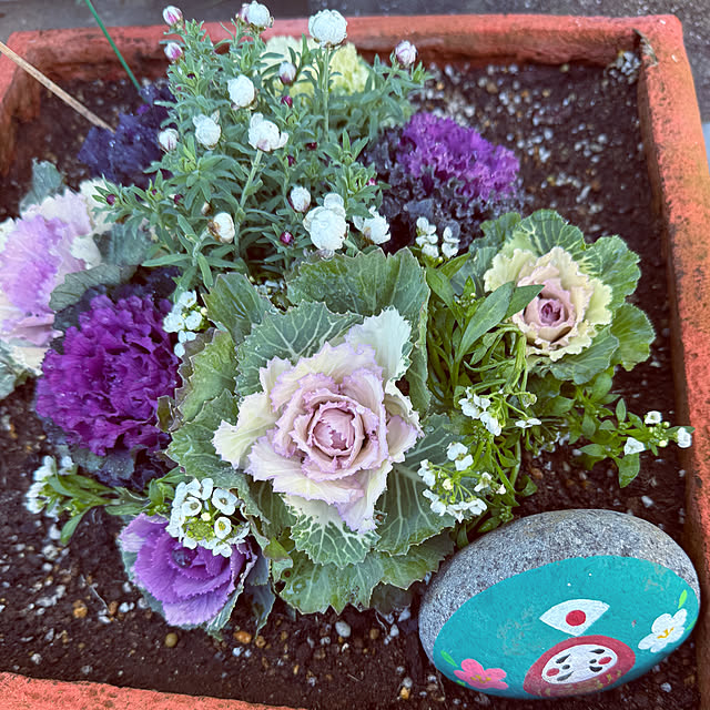 kaochanさんの実例写真