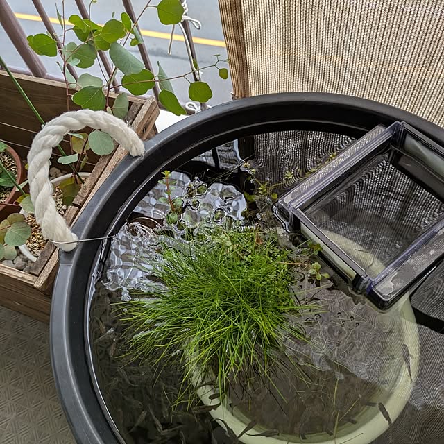 mi-saさんの実例写真