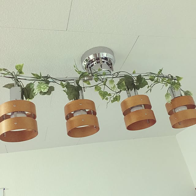 NOAさんの実例写真