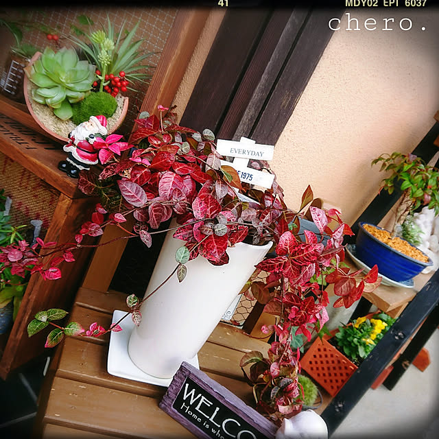 chero.さんの実例写真