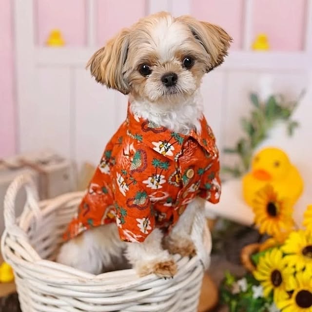 maryさんの実例写真