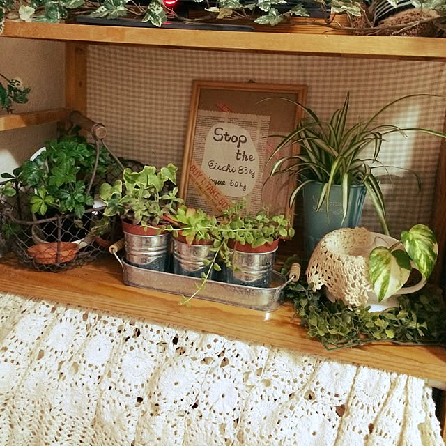 kacchanさんの実例写真