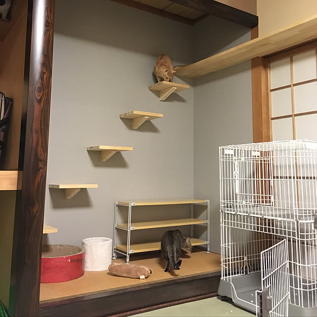 Yukinekoさんの実例写真