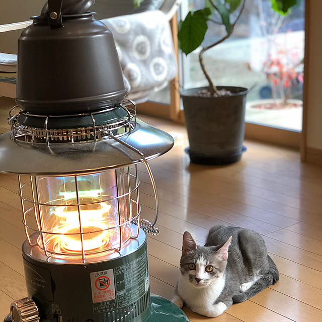 Mentanさんの実例写真