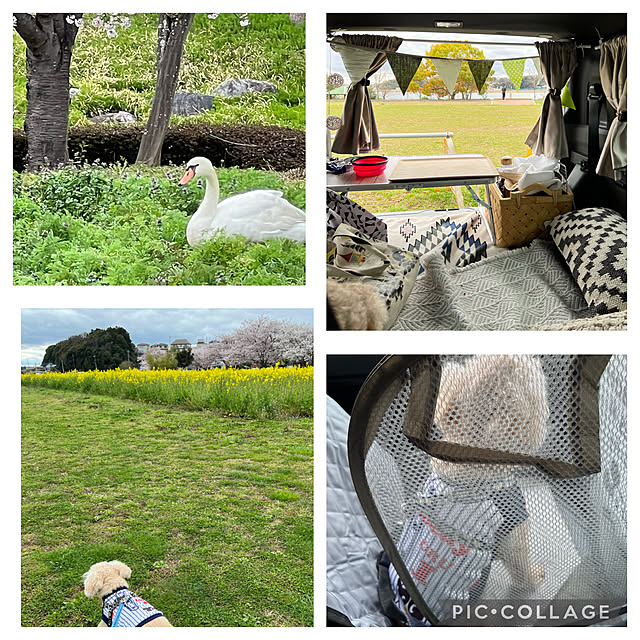 yukarimamaさんの実例写真