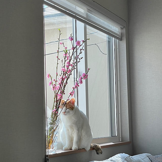 ikuzakさんの部屋