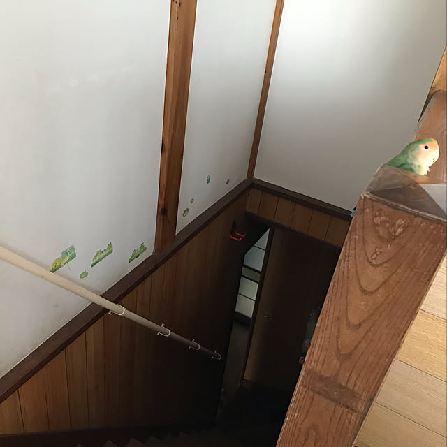 aoinokimiさんの実例写真