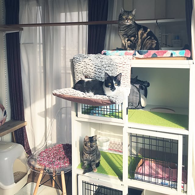 mikomaruさんの実例写真