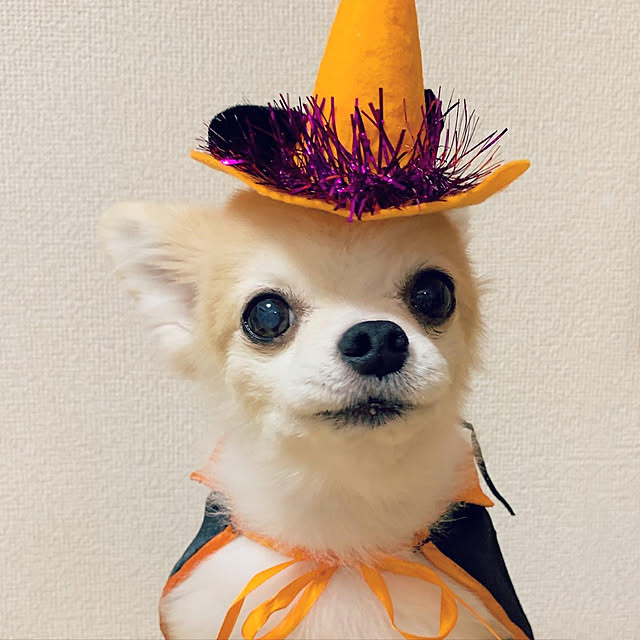 RiEさんの実例写真
