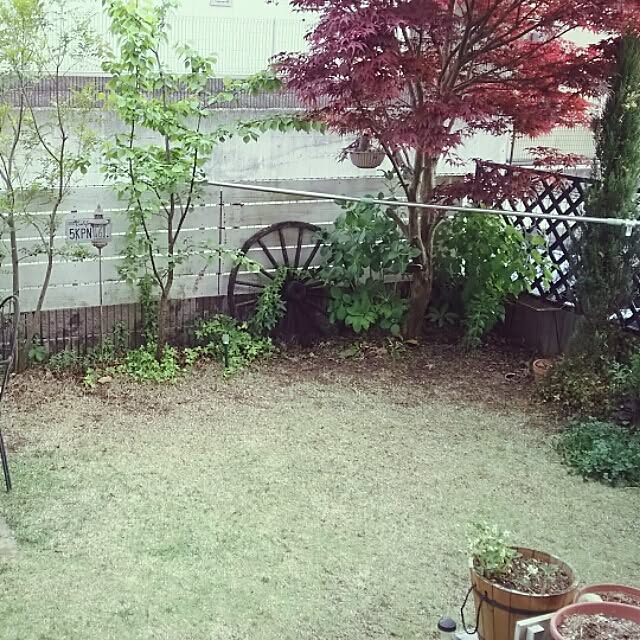 noriさんの実例写真