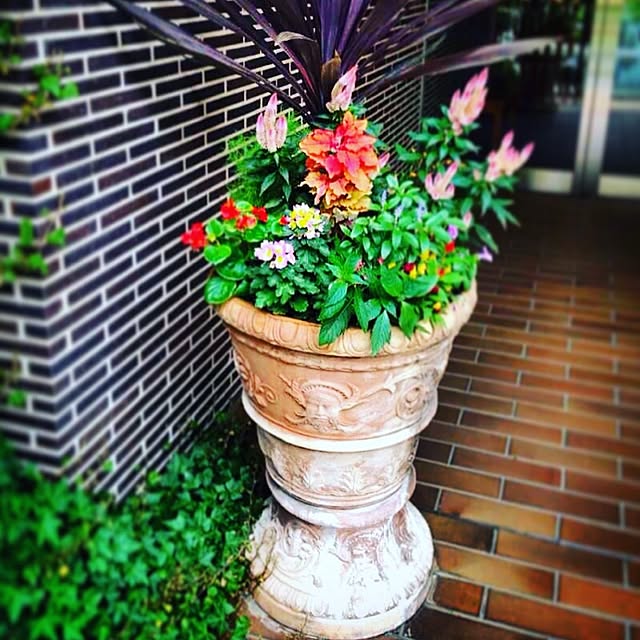 hidemomさんの実例写真