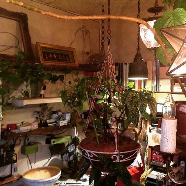 FLBLさんの実例写真