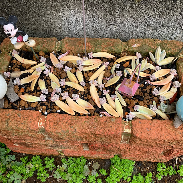 nannoさんの実例写真