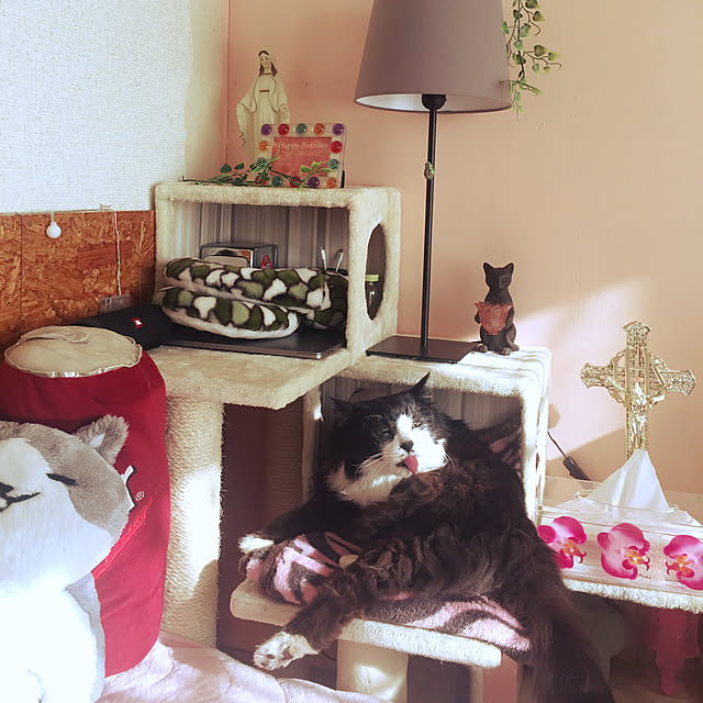 kanaさんの実例写真
