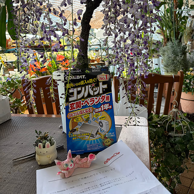 Aqettyさんの部屋