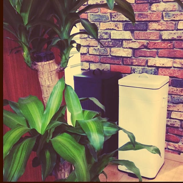 キッチン/男前/DIY/観葉植物のインテリア実例 - 2015-04-04 21:48:44