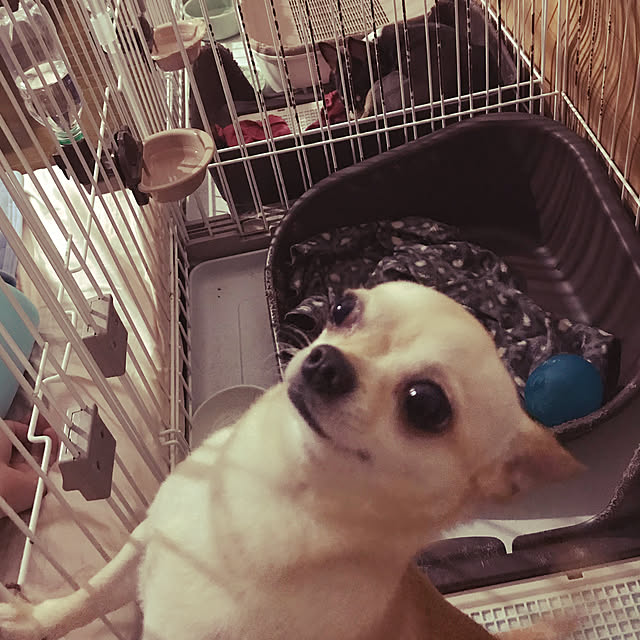 nacchintunnさんの実例写真