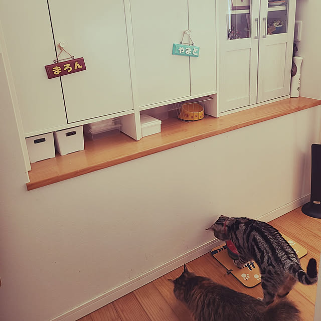 IKEA (イケア) IKEA/イケア BAGGEBO/バッゲボー:本棚 IKEA (イケア) IKEA/イケア BAGGEBO/バッゲボー:本棚