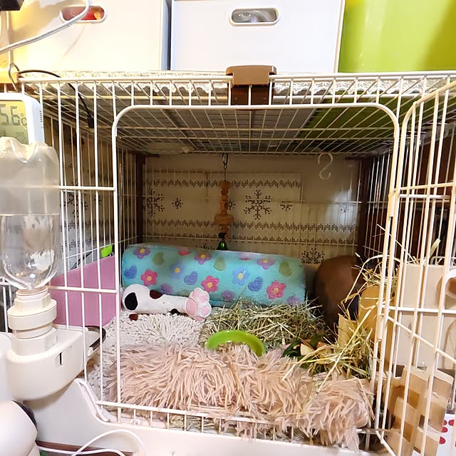 mariaさんの実例写真