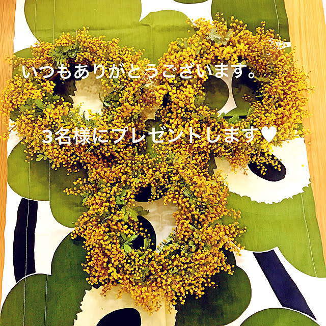 nyaaさんの実例写真