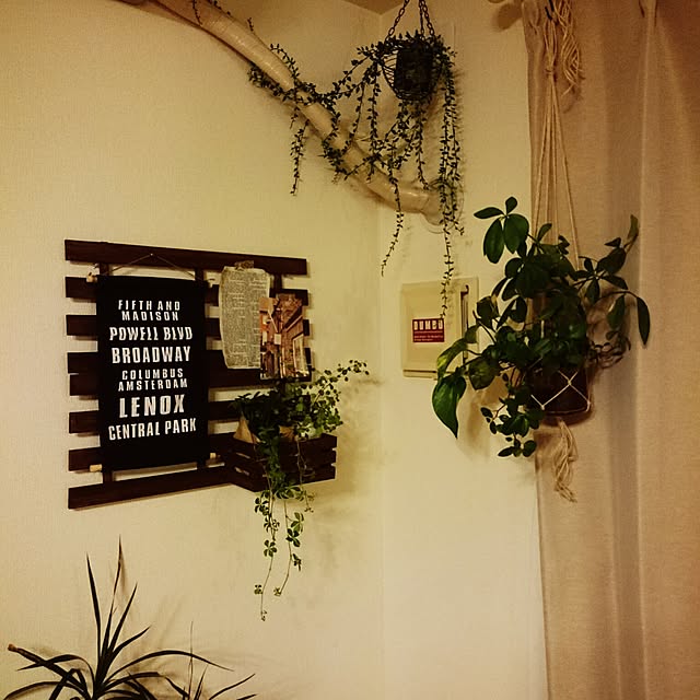 mono_plantさんの実例写真