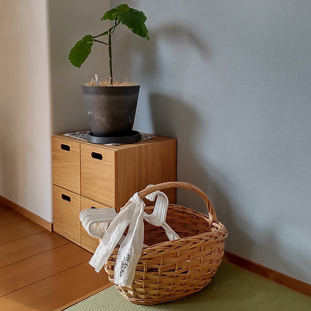 sakiさんの実例写真