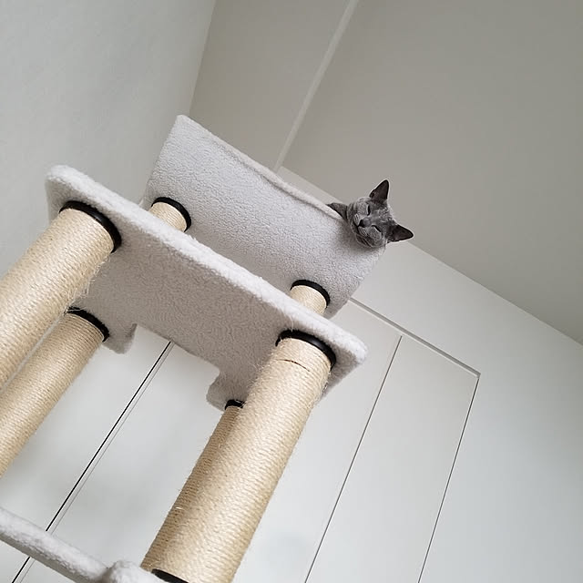 Kauruさんの実例写真