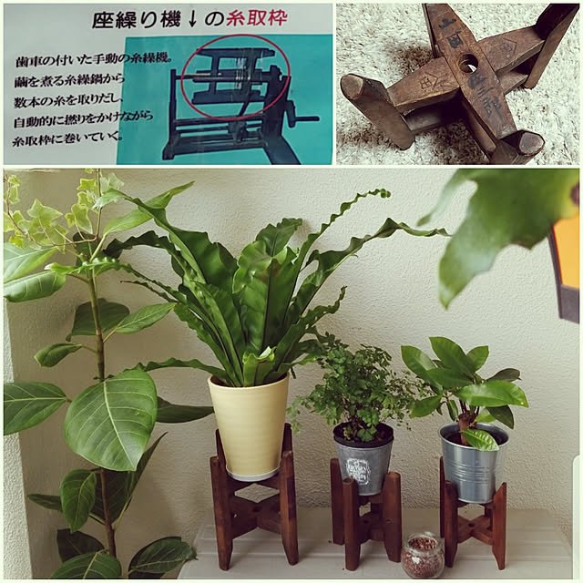 kikiさんの実例写真