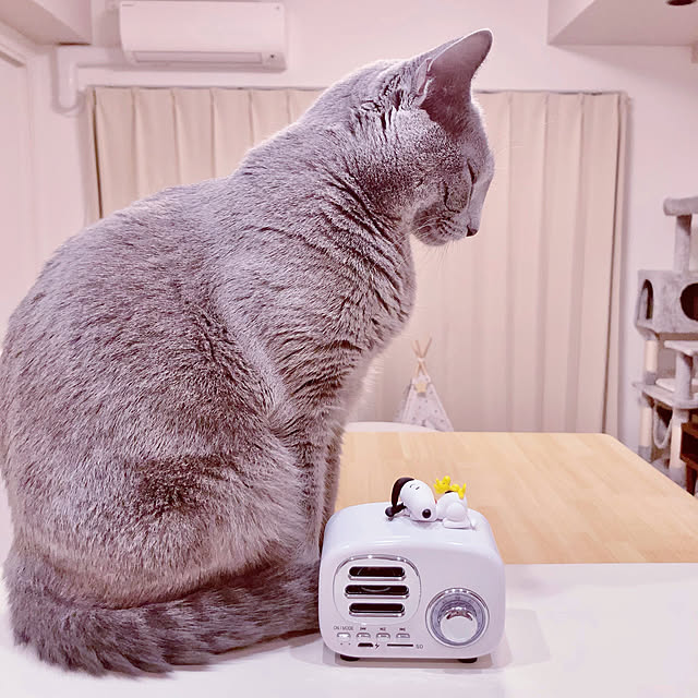 snoopyさんの実例写真