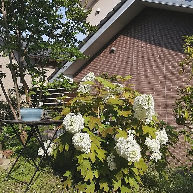 so-bokuさんの部屋