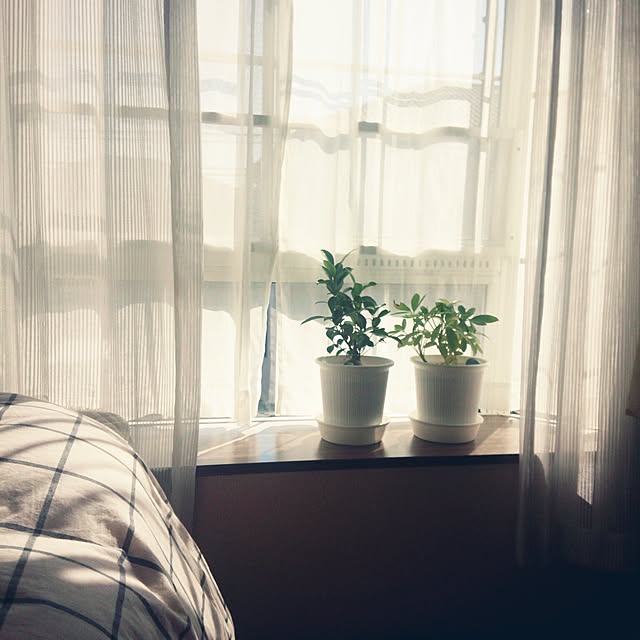 matteaさんの実例写真