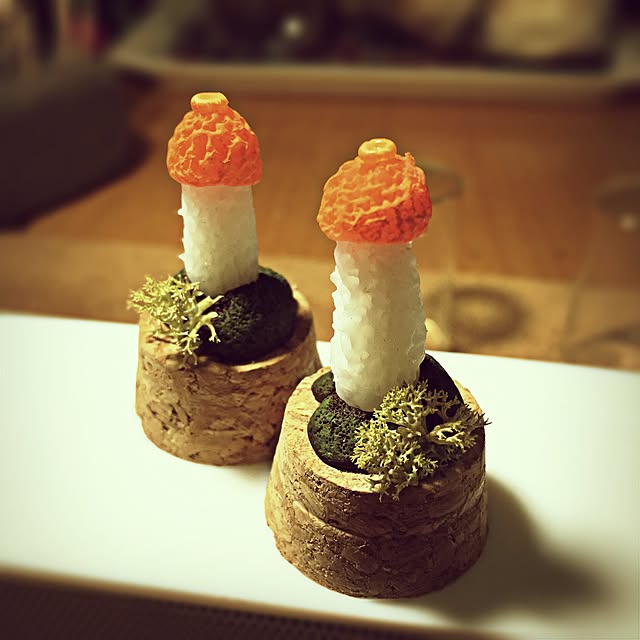ramuchop3000さんの実例写真