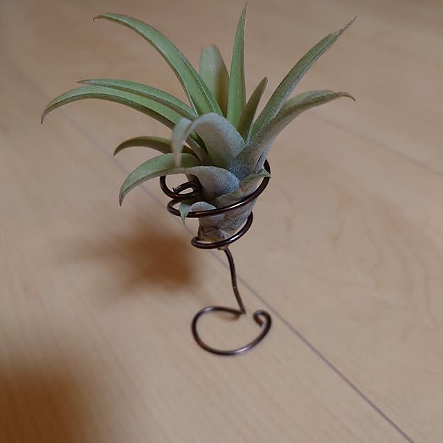 takabooさんの実例写真