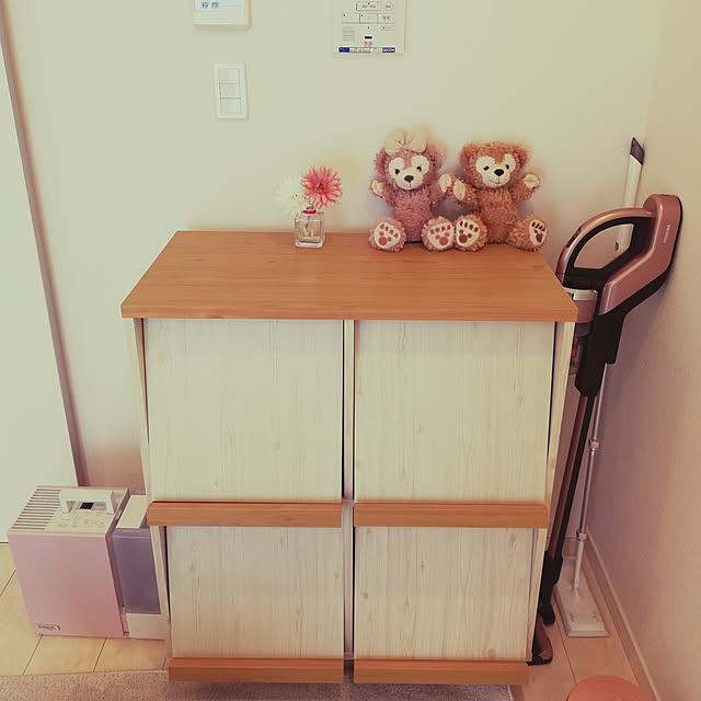 棚のインテリア実例 - 2019-02-11 06:33:04