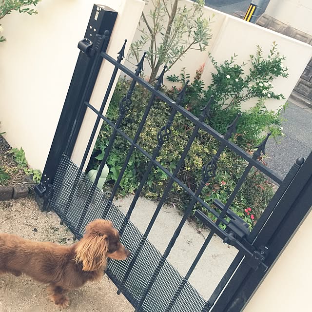 momoさんの実例写真