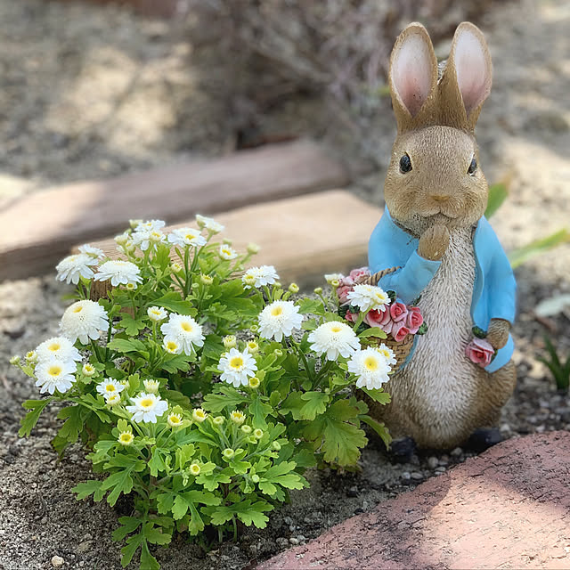 Michiさんの実例写真