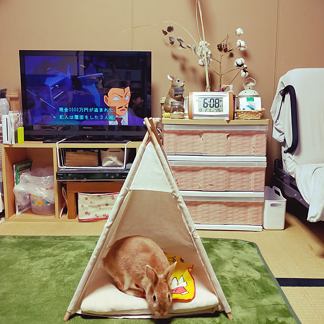 yk143さんの実例写真