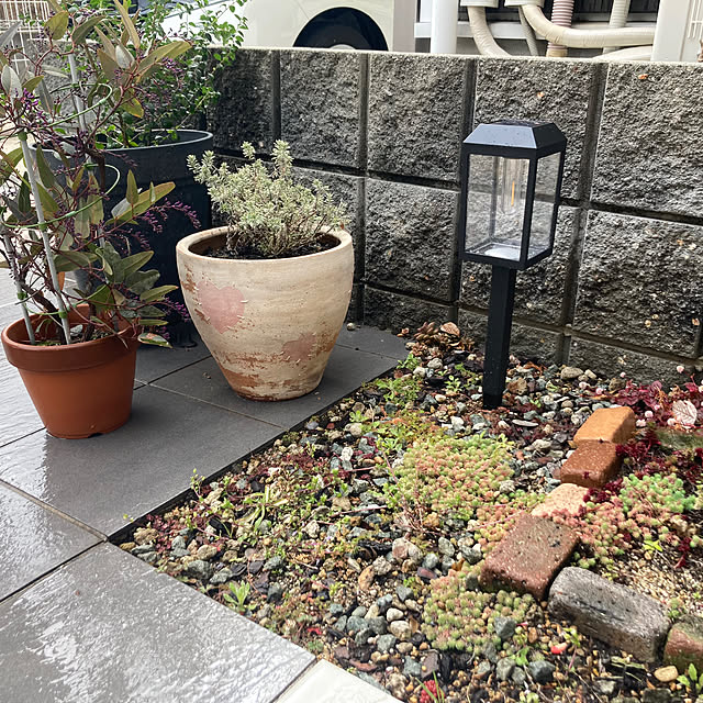 anko.hibuさんの実例写真