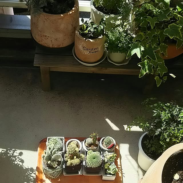 naopyiさんの実例写真