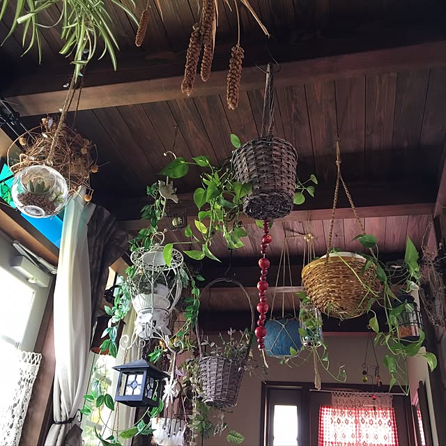 shigimiさんの実例写真