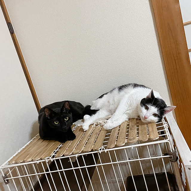 harukaさんの実例写真