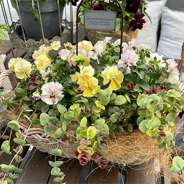 felicityさんの実例写真