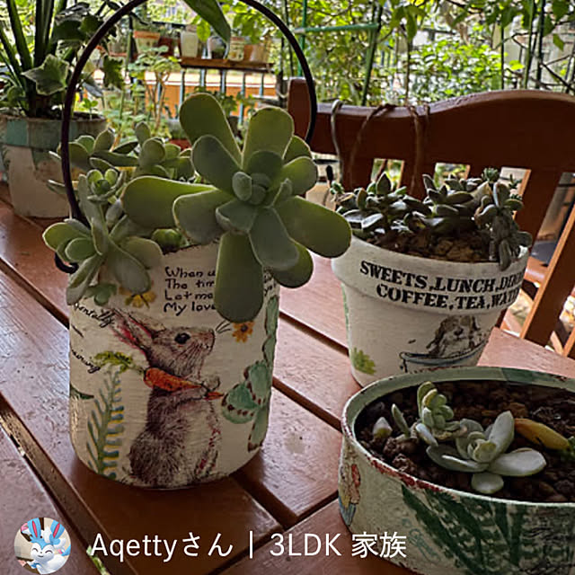 Aqettyさんの部屋