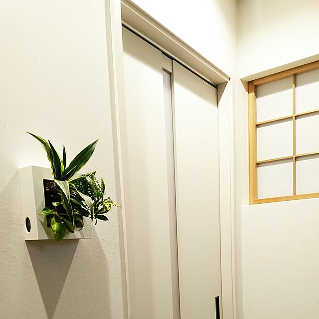 masu_uさんの実例写真