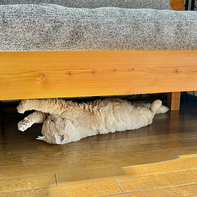 naokoさんの部屋