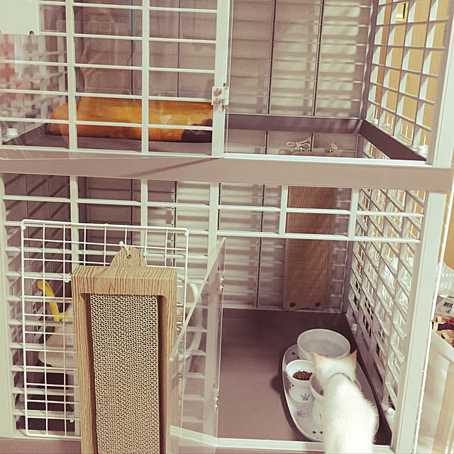 fu-mu._.さんの実例写真