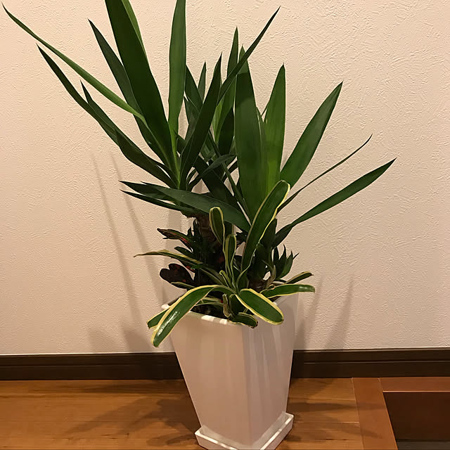 玄関/入り口のインテリア実例 - 2018-04-24 13:17:29