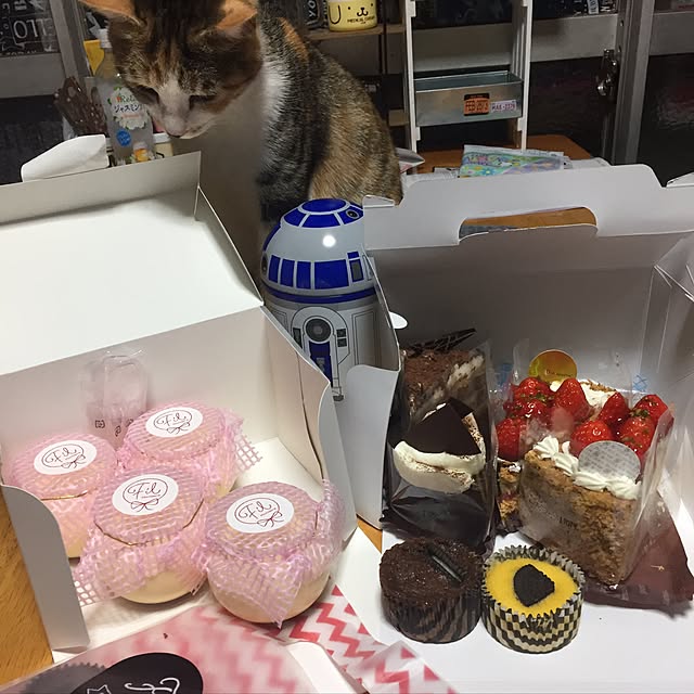 vivienne.coco-keiさんの実例写真