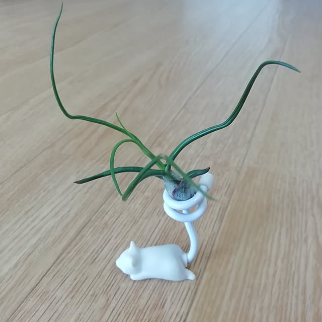 turaさんの実例写真